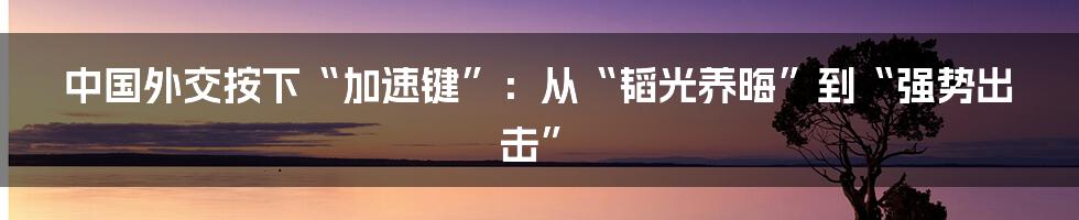 中国外交按下“加速键”：从“韬光养晦”到“强势出击”