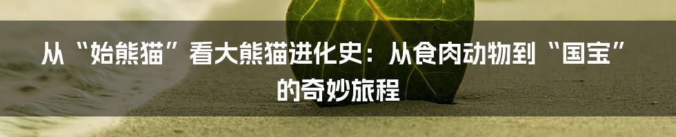 从“始熊猫”看大熊猫进化史：从食肉动物到“国宝”的奇妙旅程