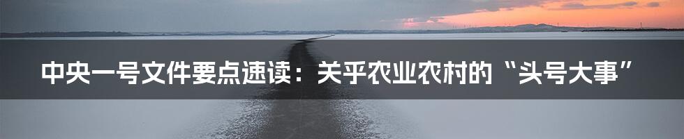 中央一号文件要点速读:关乎农业农村的“头号大事”