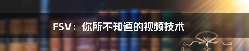 FSV:你所不知道的视频技术