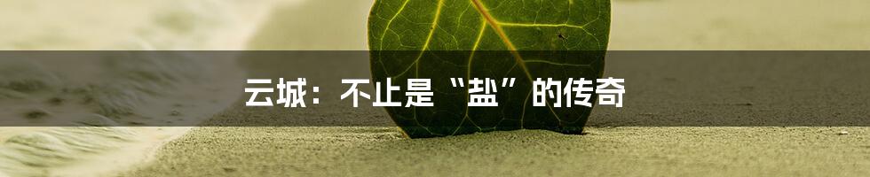 云城:不止是“盐”的传奇