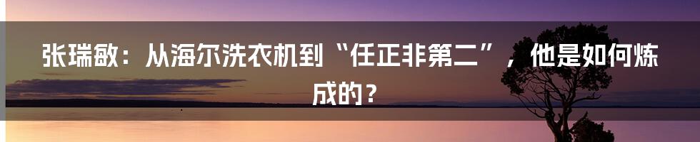 张瑞敏：从海尔洗衣机到“任正非第二”，他是如何炼成的？