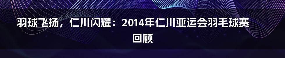 羽球飞扬,仁川闪耀:2014年仁川亚运会羽毛球赛回顾