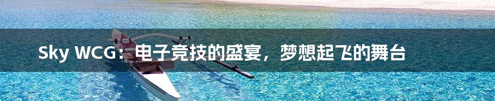 Sky WCG:电子竞技的盛宴,梦想起飞的舞台