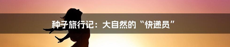 种子旅行记:大自然的“快递员”