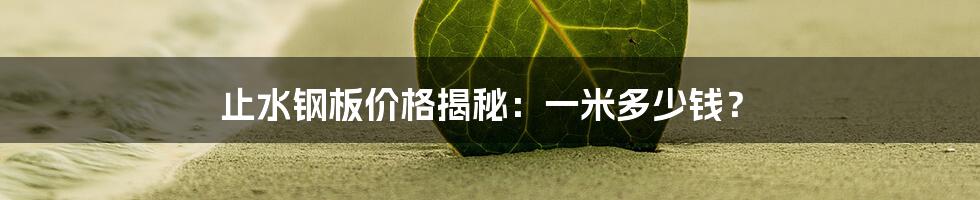 止水钢板价格揭秘:一米多少钱?