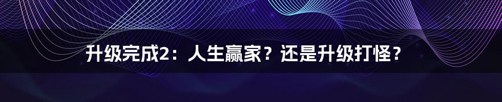 升级完成2：人生赢家？还是升级打怪？