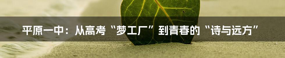 平原一中:从高考“梦工厂”到青春的“诗与远方”