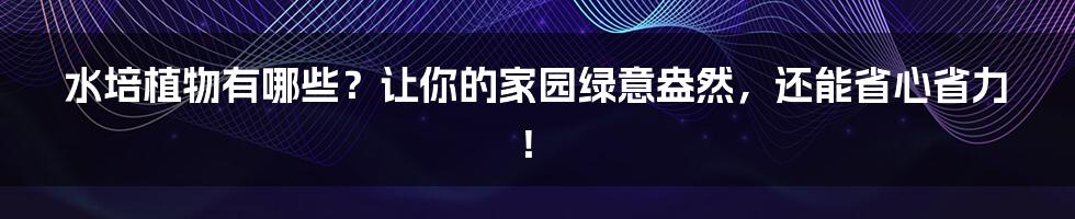 水培植物有哪些?让你的家园绿意盎然,还能省心省力!