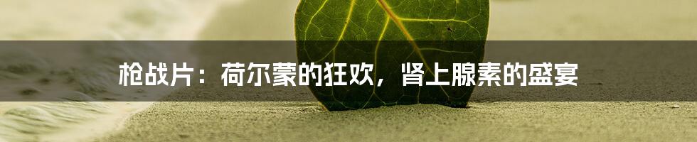 枪战片:荷尔蒙的狂欢,肾上腺素的盛宴