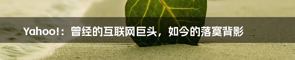 Yahoo!:曾经的互联网巨头,如今的落寞背影