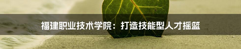福建职业技术学院:打造技能型人才摇篮