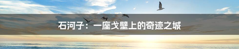 石河子:一座戈壁上的奇迹之城