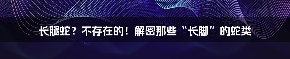 长腿蛇?不存在的!解密那些“长脚”的蛇类