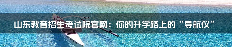 山东教育招生考试院官网:你的升学路上的“导航仪”