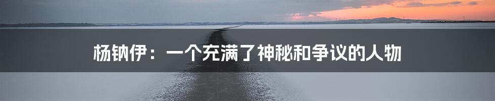 杨钠伊:一个充满了神秘和争议的人物