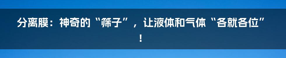 分离膜:神奇的“筛子”,让液体和气体“各就各位”!