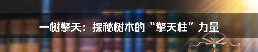 一树擎天:探秘树木的“擎天柱”力量