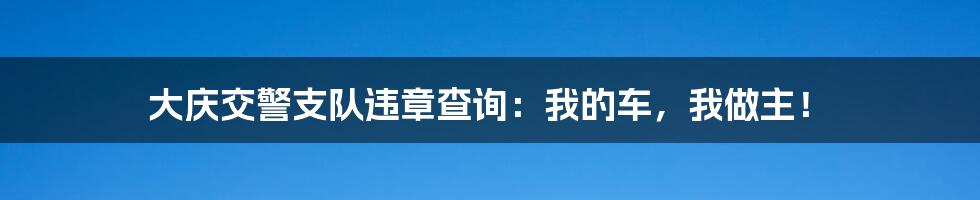 大庆交警支队违章查询:我的车,我做主!