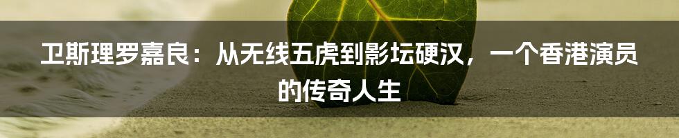 卫斯理罗嘉良：从无线五虎到影坛硬汉，一个香港演员的传奇人生