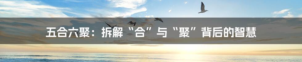 五合六聚:拆解“合”与“聚”背后的智慧