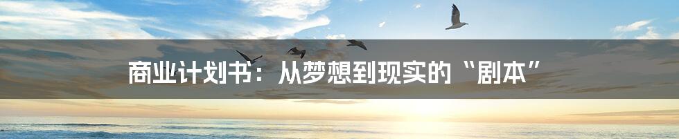 商业计划书：从梦想到现实的“剧本”