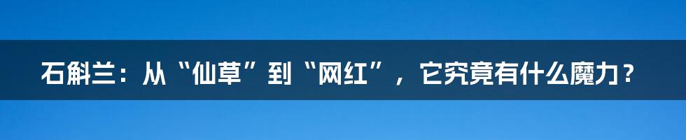石斛兰:从“仙草”到“网红”,它究竟有什么魔力?