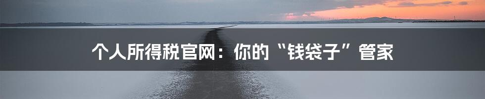 个人所得税官网:你的“钱袋子”管家