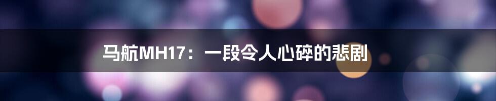马航MH17:一段令人心碎的悲剧