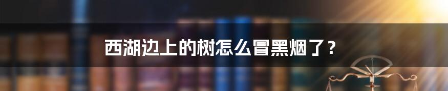 西湖边上的树怎么冒黑烟了？
