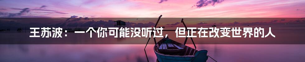 王苏波:一个你可能没听过,但正在改变世界的人