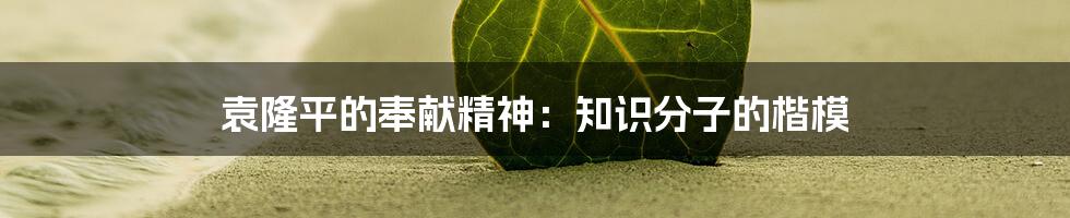 袁隆平的奉献精神:知识分子的楷模