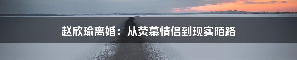 赵欣瑜离婚:从荧幕情侣到现实陌路