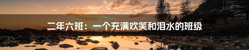 二年六班:一个充满欢笑和泪水的班级