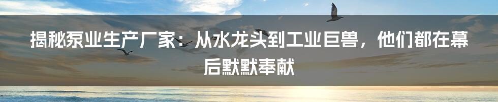 揭秘泵业生产厂家:从水龙头到工业巨兽,他们都在幕后默默奉献