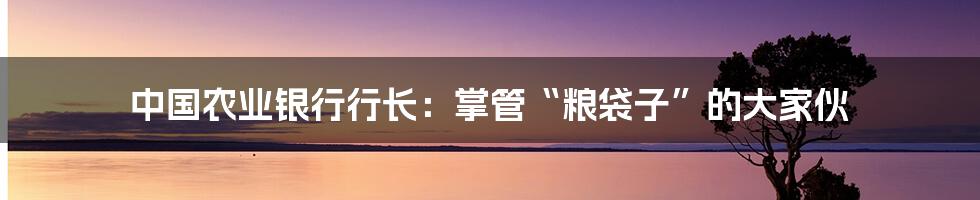 中国农业银行行长:掌管“粮袋子”的大家伙
