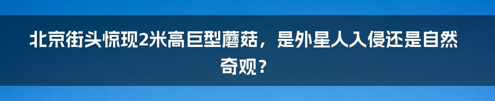 北京街头惊现2米高巨型蘑菇，是外星人入侵还是自然奇观？