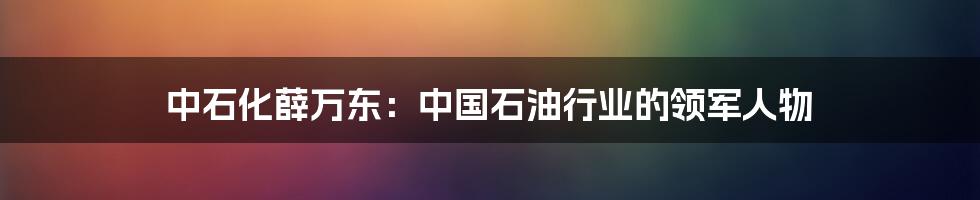 中石化薛万东:中国石油行业的领军人物