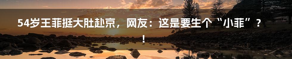 54岁王菲挺大肚赴京,网友:这是要生个“小菲”?!