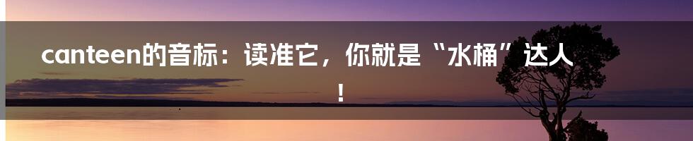 canteen的音标：读准它，你就是“水桶”达人！