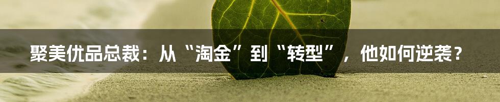 聚美优品总裁:从“淘金”到“转型”,他如何逆袭?