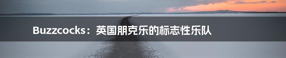 Buzzcocks:英国朋克乐的标志性乐队