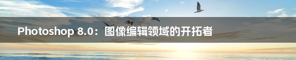Photoshop 8.0:图像编辑领域的开拓者