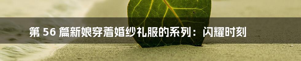 第 56 篇新娘穿着婚纱礼服的系列:闪耀时刻