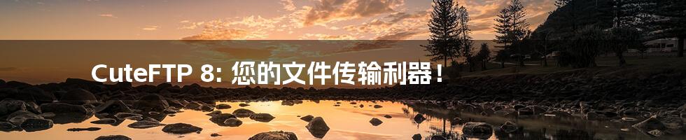 CuteFTP 8: 您的文件传输利器！