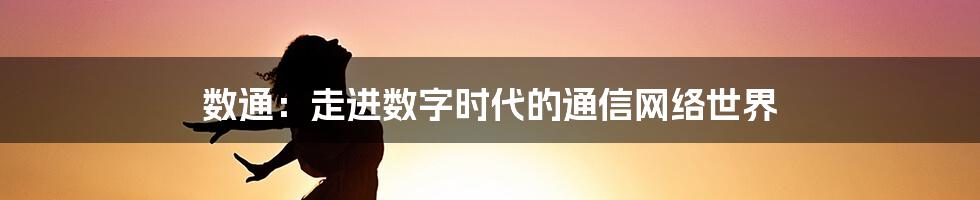 数通:走进数字时代的通信网络世界