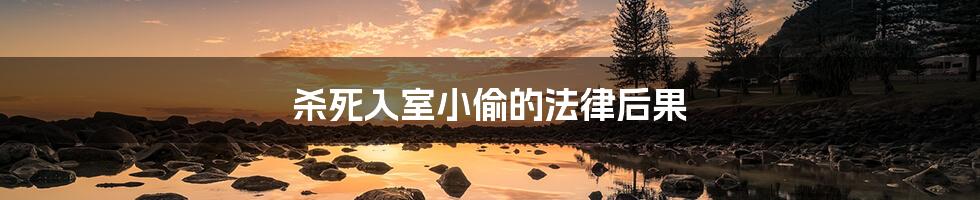 杀死入室小偷的法律后果