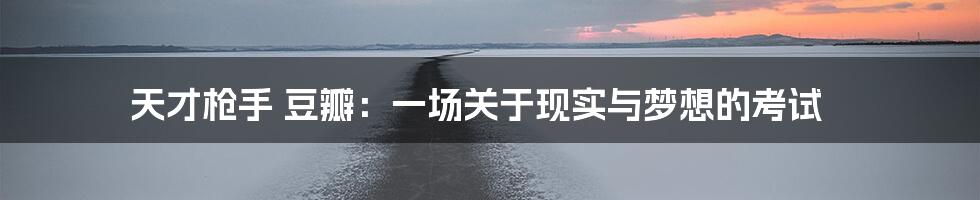 天才枪手 豆瓣:一场关于现实与梦想的考试