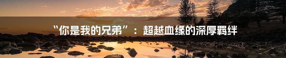 “你是我的兄弟”:超越血缘的深厚羁绊