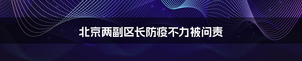 北京两副区长防疫不力被问责